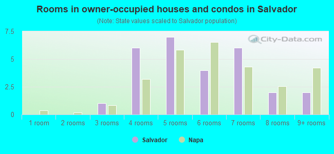 Rooms in owner-occupied houses and condos in Salvador