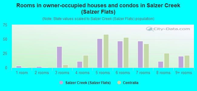 Rooms in owner-occupied houses and condos in Salzer Creek (Salzer Flats)