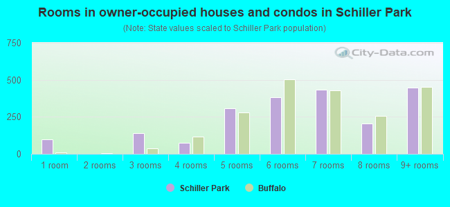 Rooms in owner-occupied houses and condos in Schiller Park