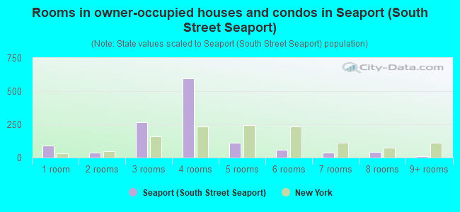 Rooms in owner-occupied houses and condos in Seaport (South Street Seaport)