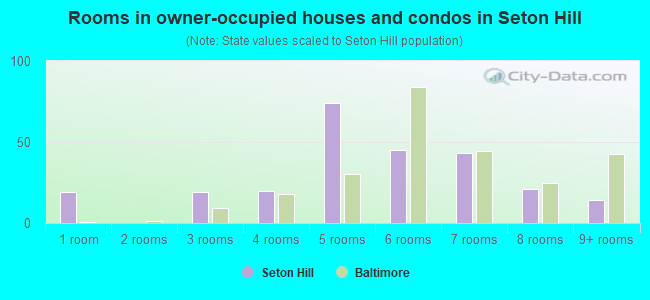 Rooms in owner-occupied houses and condos in Seton Hill