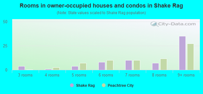 Rooms in owner-occupied houses and condos in Shake Rag
