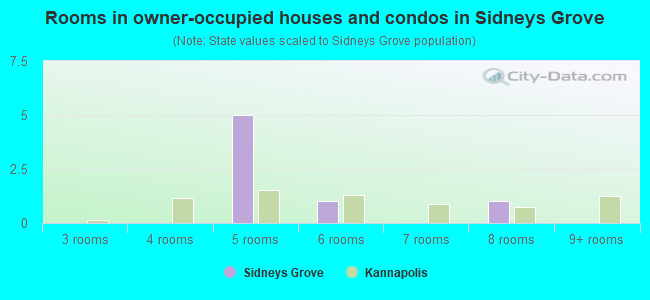 Rooms in owner-occupied houses and condos in Sidneys Grove