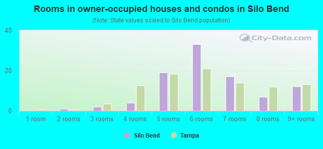 Rooms in owner-occupied houses and condos in Silo Bend
