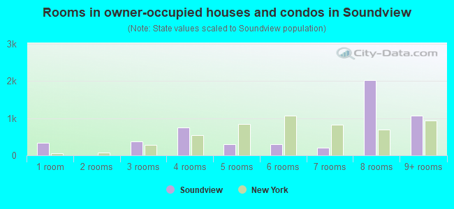 Rooms in owner-occupied houses and condos in Soundview