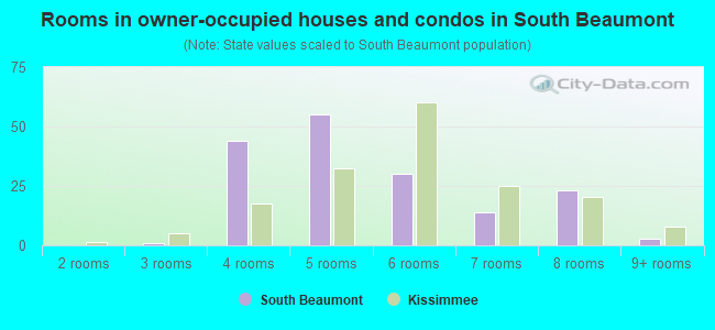 Rooms in owner-occupied houses and condos in South Beaumont