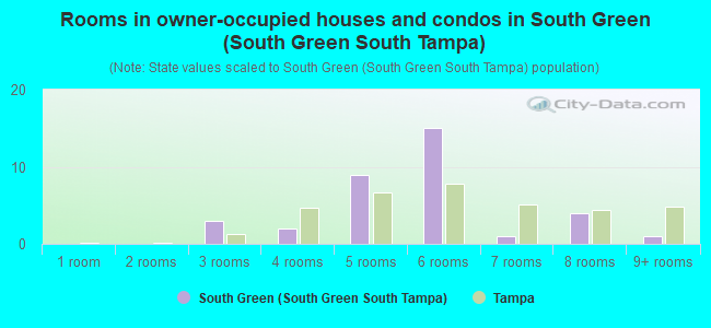 Rooms in owner-occupied houses and condos in South Green (South Green South Tampa)