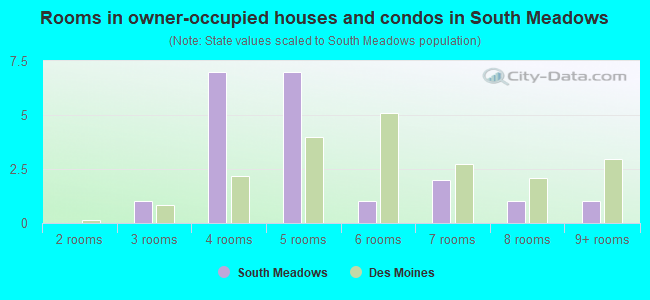 Rooms in owner-occupied houses and condos in South Meadows