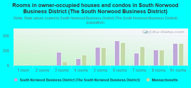 Rooms in owner-occupied houses and condos in South Norwood Business District (The South Norwood Business District)