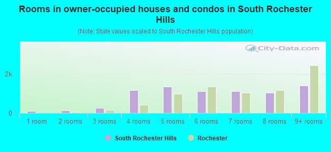 Rooms in owner-occupied houses and condos in South Rochester Hills