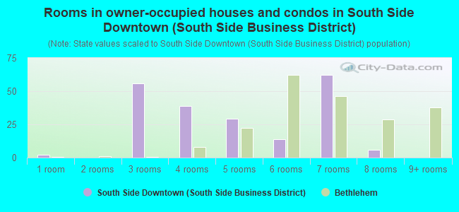 Rooms in owner-occupied houses and condos in South Side Downtown (South Side Business District)