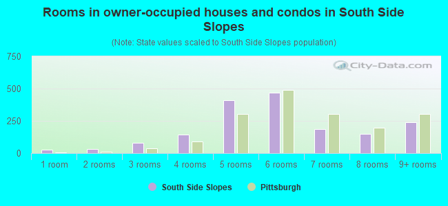 Rooms in owner-occupied houses and condos in South Side Slopes