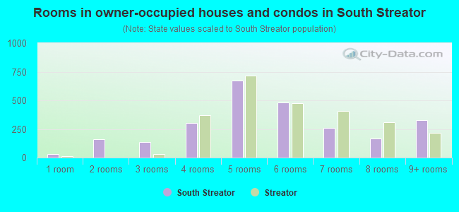 Rooms in owner-occupied houses and condos in South Streator