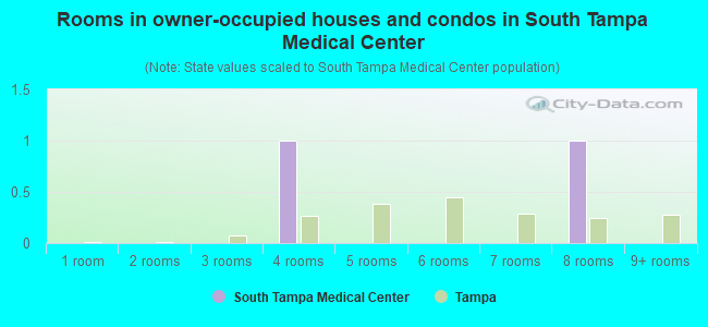 Rooms in owner-occupied houses and condos in South Tampa Medical Center