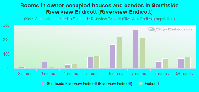 Rooms in owner-occupied houses and condos in Southside Riverview Endicott (Riverview Endicott)