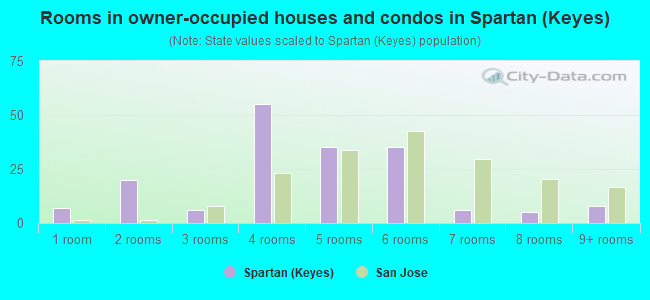 Rooms in owner-occupied houses and condos in Spartan (Keyes)