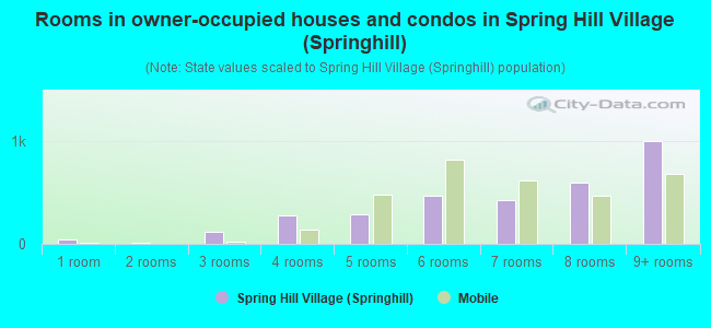 Rooms in owner-occupied houses and condos in Spring Hill Village (Springhill)