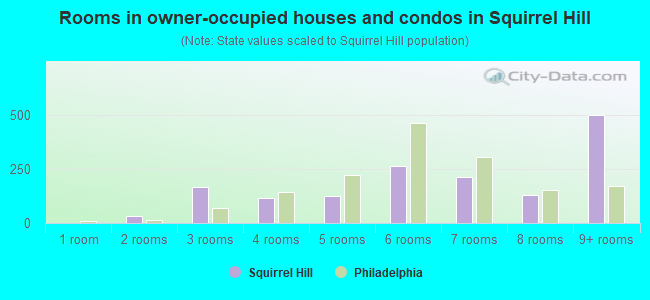 Rooms in owner-occupied houses and condos in Squirrel Hill