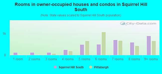 Rooms in owner-occupied houses and condos in Squirrel Hill South