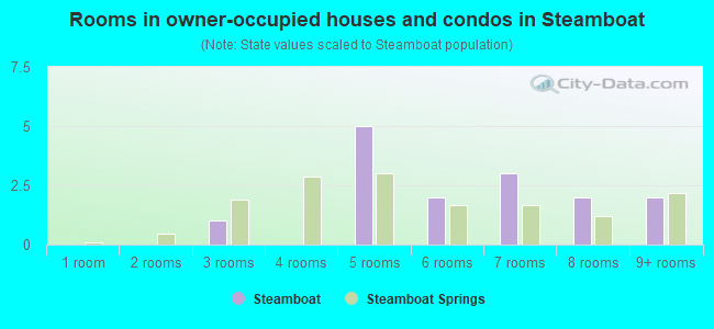 Rooms in owner-occupied houses and condos in Steamboat