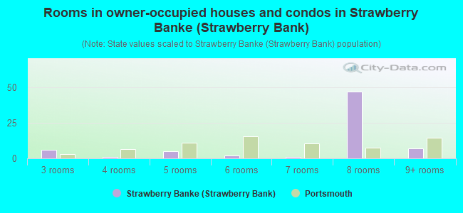 Rooms in owner-occupied houses and condos in Strawberry Banke (Strawberry Bank)