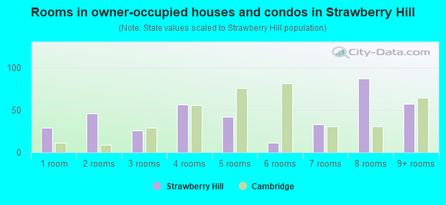 Rooms in owner-occupied houses and condos in Strawberry Hill
