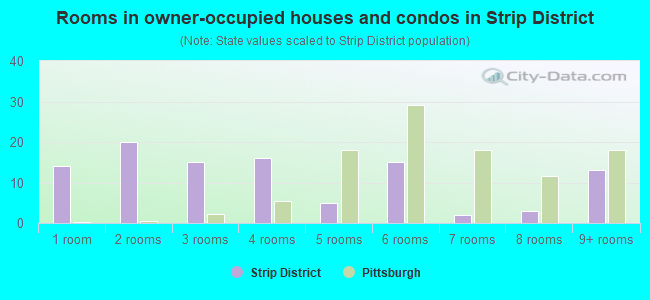 Rooms in owner-occupied houses and condos in Strip District