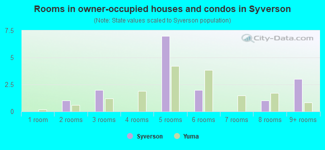 Rooms in owner-occupied houses and condos in Syverson