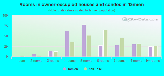 Rooms in owner-occupied houses and condos in Tamien