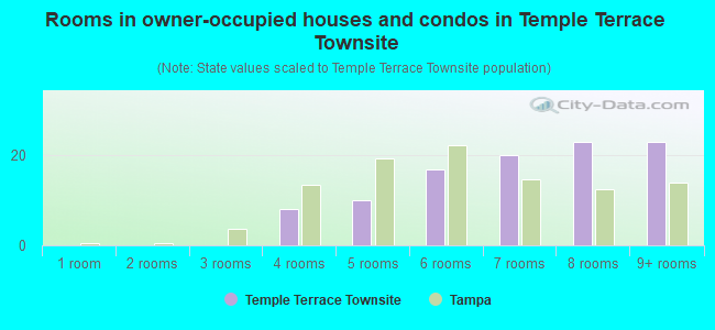 Rooms in owner-occupied houses and condos in Temple Terrace Townsite