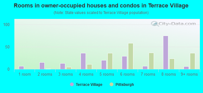 Rooms in owner-occupied houses and condos in Terrace Village