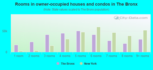 Rooms in owner-occupied houses and condos in The Bronx