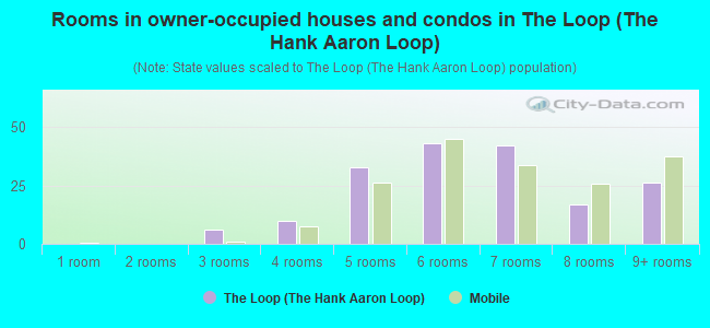 Rooms in owner-occupied houses and condos in The Loop (The Hank Aaron Loop)