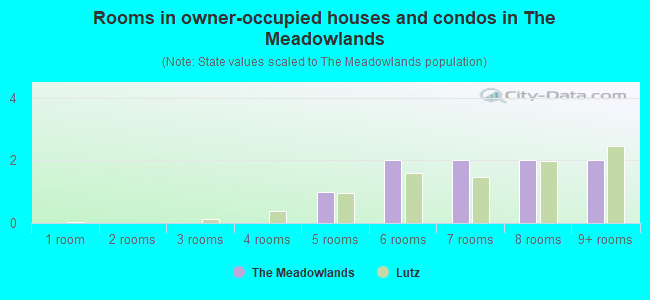 Rooms in owner-occupied houses and condos in The Meadowlands