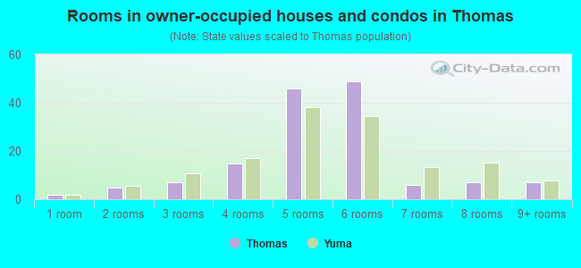 Rooms in owner-occupied houses and condos in Thomas