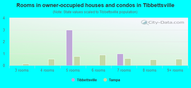 Rooms in owner-occupied houses and condos in Tibbettsville