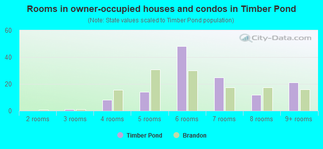 Rooms in owner-occupied houses and condos in Timber Pond