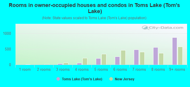 Rooms in owner-occupied houses and condos in Toms Lake (Tom's Lake)
