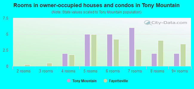 Rooms in owner-occupied houses and condos in Tony Mountain