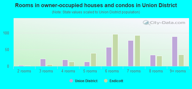 Rooms in owner-occupied houses and condos in Union District