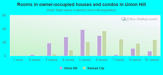 Rooms in owner-occupied houses and condos in Union Hill