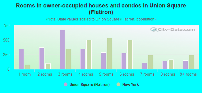 Rooms in owner-occupied houses and condos in Union Square (Flatiron)