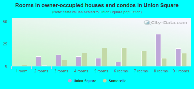 Rooms in owner-occupied houses and condos in Union Square