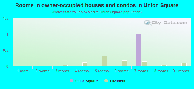 Rooms in owner-occupied houses and condos in Union Square