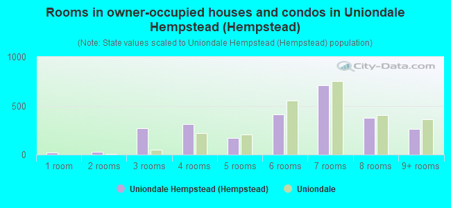 Rooms in owner-occupied houses and condos in Uniondale Hempstead (Hempstead)