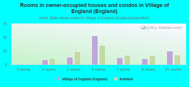 Rooms in owner-occupied houses and condos in Village of England (England)