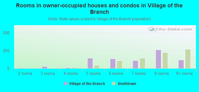 Rooms in owner-occupied houses and condos in Village of the Branch