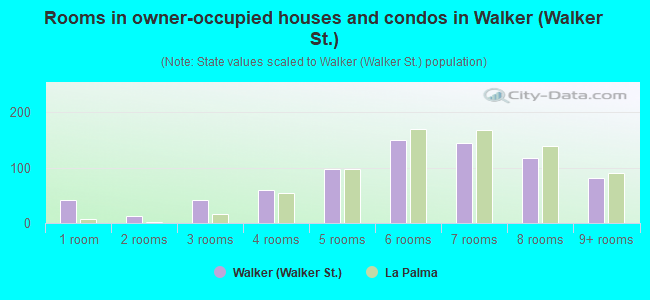 Rooms in owner-occupied houses and condos in Walker (Walker St.)