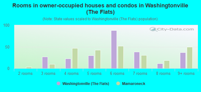 Rooms in owner-occupied houses and condos in Washingtonville (The Flats)