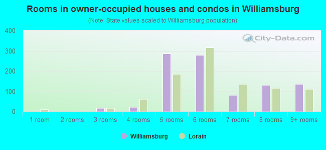 Rooms in owner-occupied houses and condos in Williamsburg